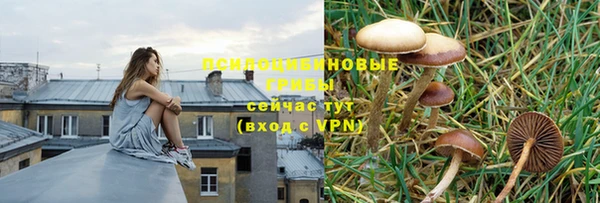 спиды Карпинск