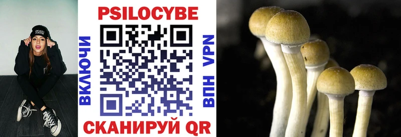 Псилоцибиновые грибы Psilocybe  Купить закладки  Курильск 