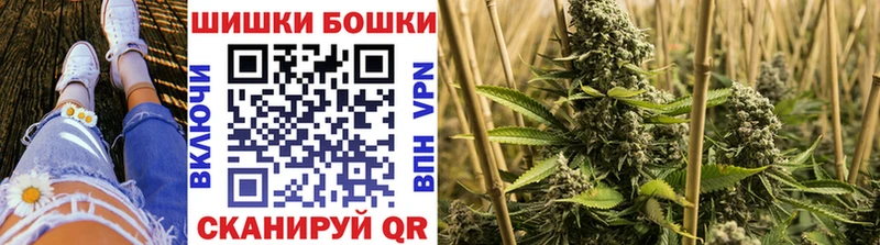 Бошки Шишки MAZAR  Купить где  Курильск 